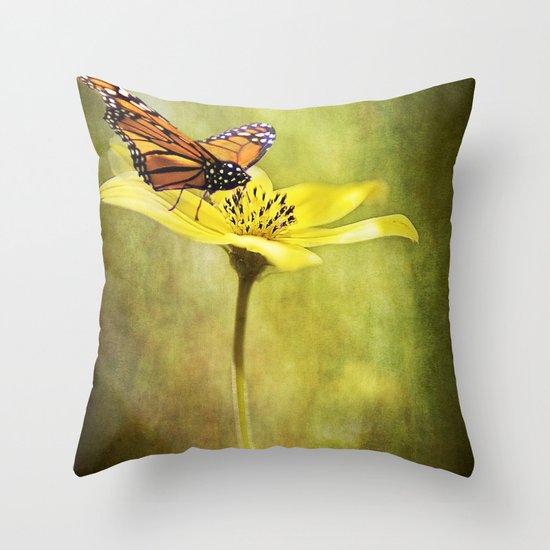 Smooth Landing Throw Pillow