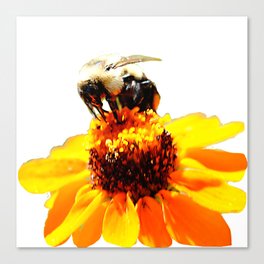 Bee On a Flower Canvas Print