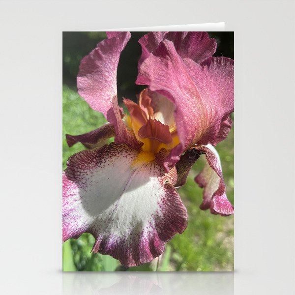Burgundy iris Stationery Cards