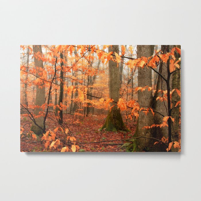Mystic Autumn Forest Metal Print