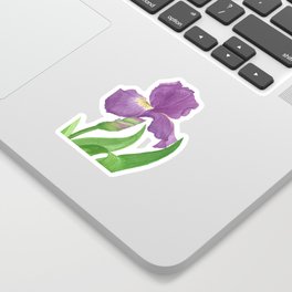 Stunning Purple Iris Flower Sticker
