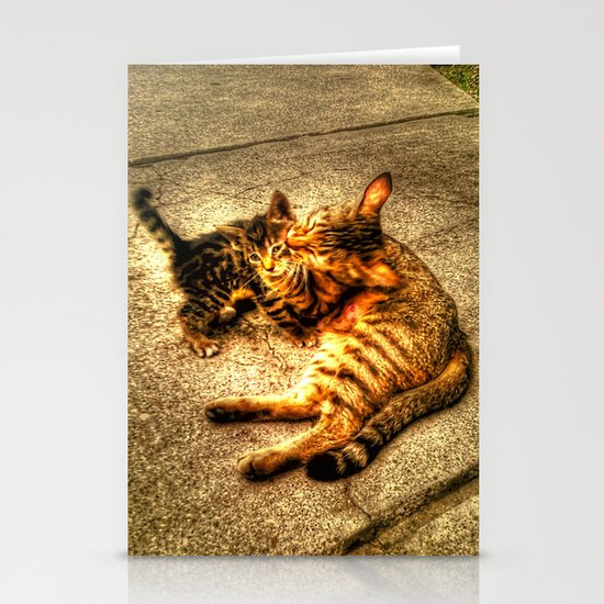Cats Stationery Cards