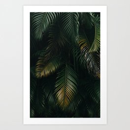 Palm Tree Leaves Art Print