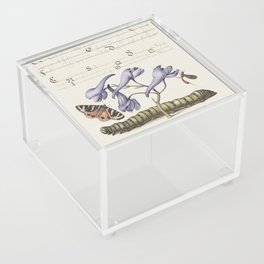 Vintage calligraphy art with a caterpillar Acrylic Box