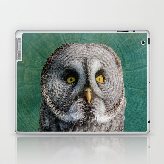 GREY OWL Laptop & iPad Skin