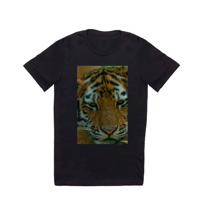 Baby Tiger  T Shirt