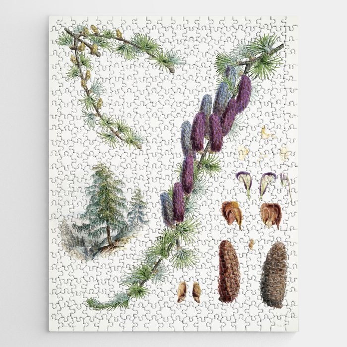 himalayan plants and flowers Jigsaw Puzzle