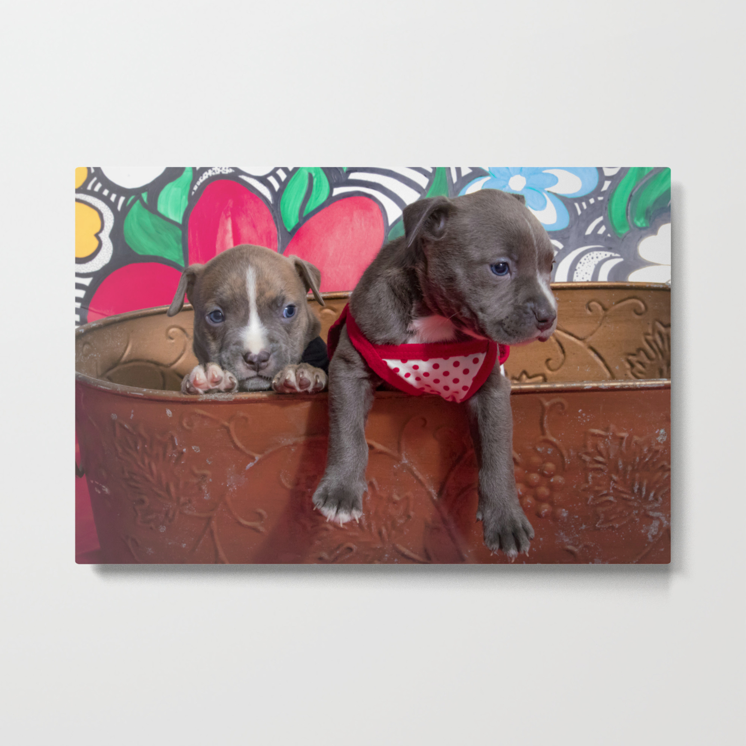 society6