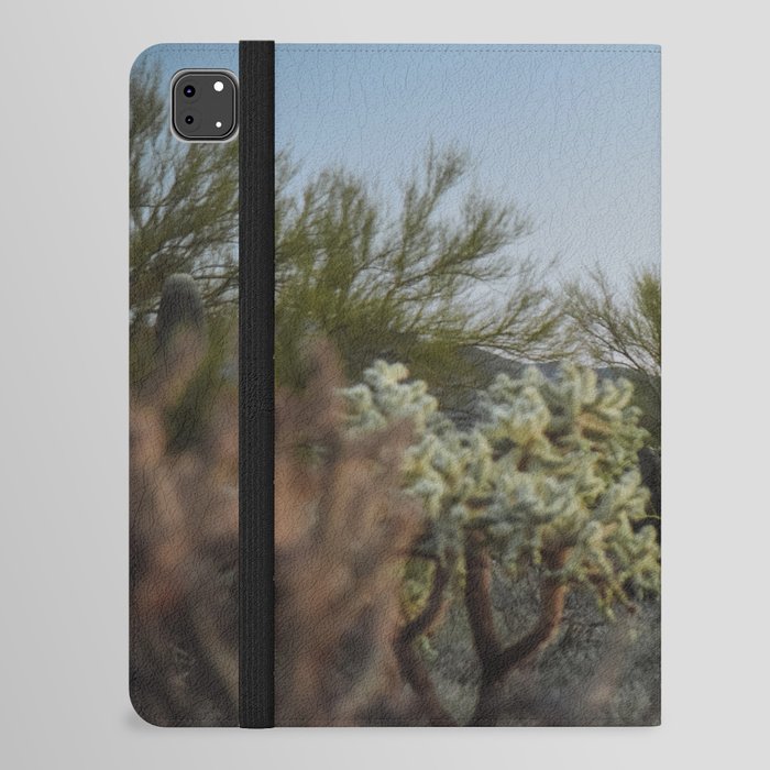 Sonoran Desert Sunset  iPad Folio Case