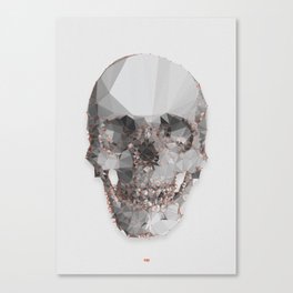 Skull mesh Canvas Print