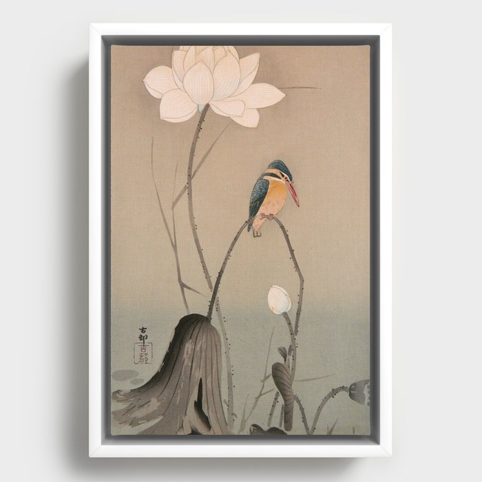 Koson Ohara - Kingfisher - Japanese Vintage Ukiyo-e Woodblock Print Framed Canvas