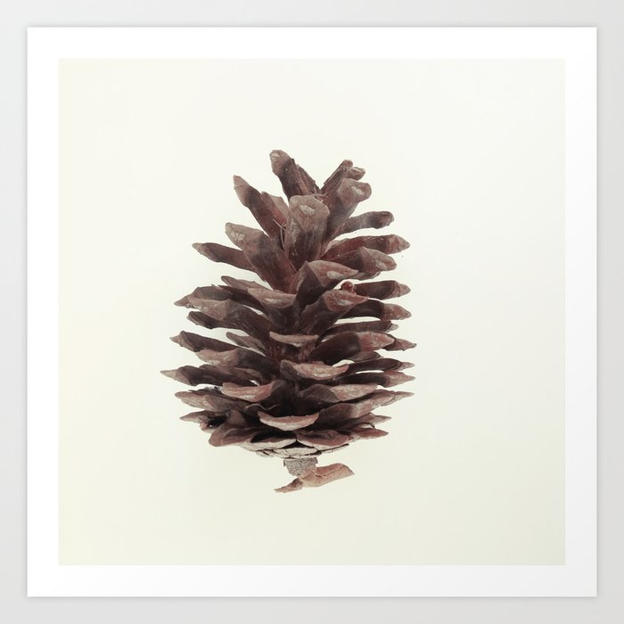 pine cone Art Print