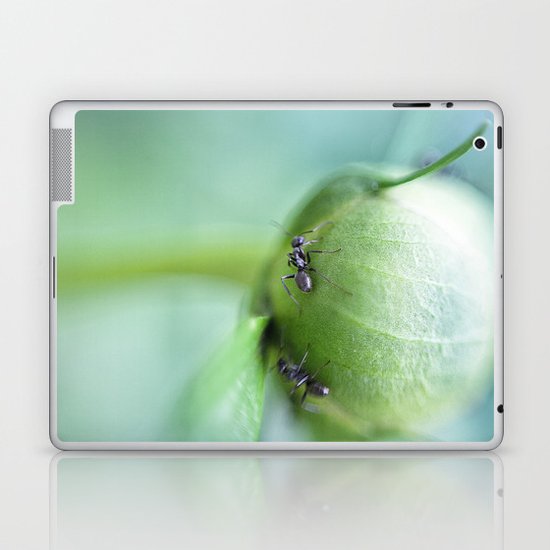 the climb Laptop & iPad Skin