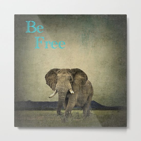 Elephant 1 Metal Print