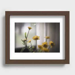 Wild yellow daisies Recessed Framed Print