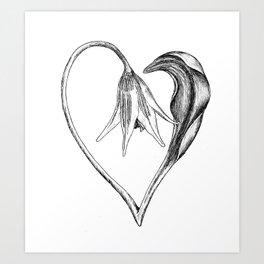 Flower of the Heart Art Print
