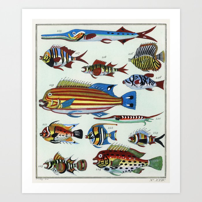 Colorful Exotic Fishes  Art Print