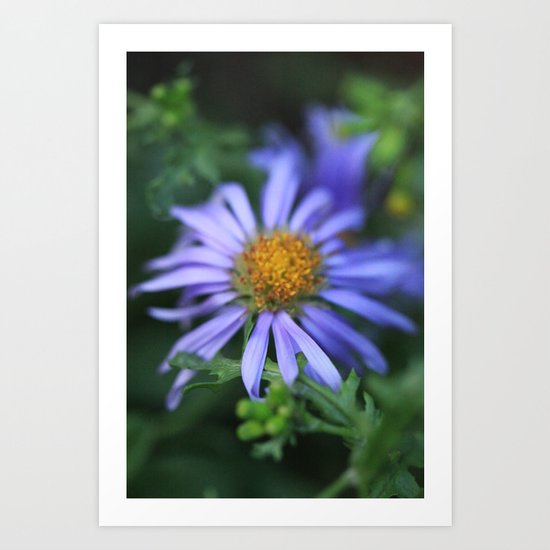 Blossom 2 Art Print