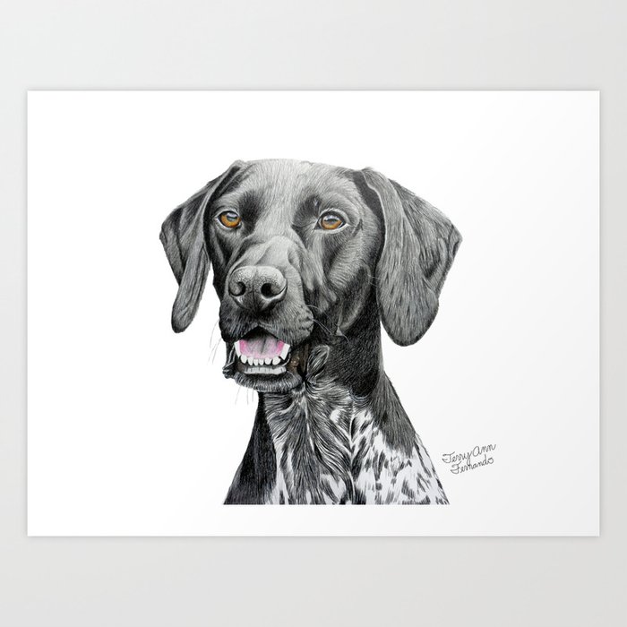 German shorthaired pointer discount drawing