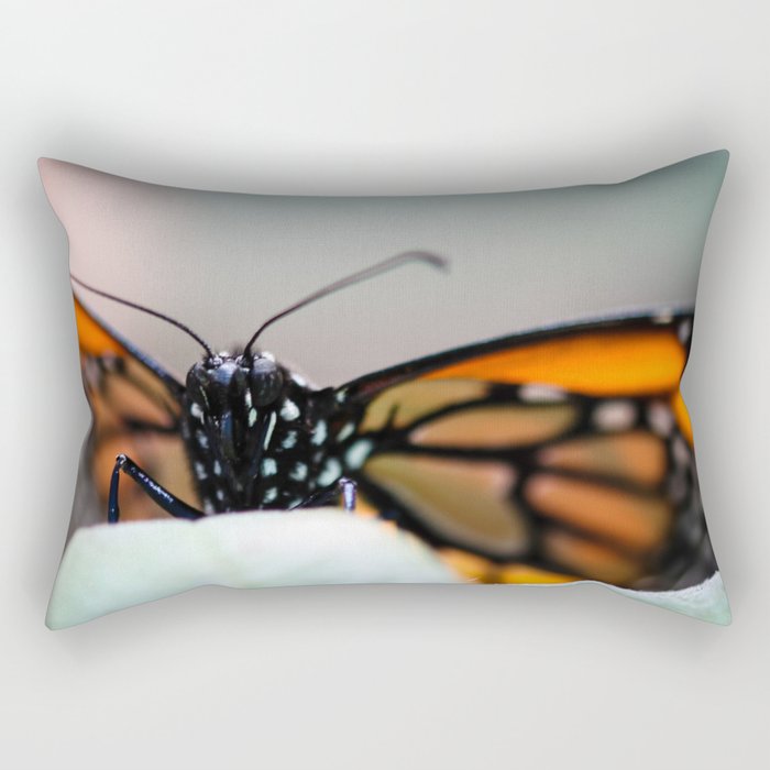 Monarch Danaus Plexippus Rectangular Pillow