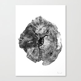 Oak log Canvas Print