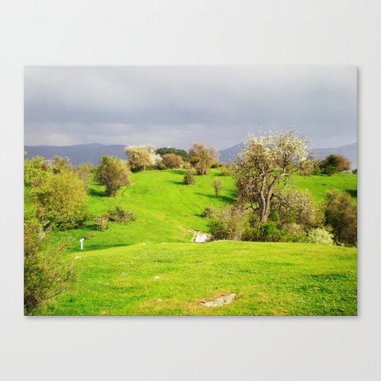 prespes.lakes.II.greece Canvas Print