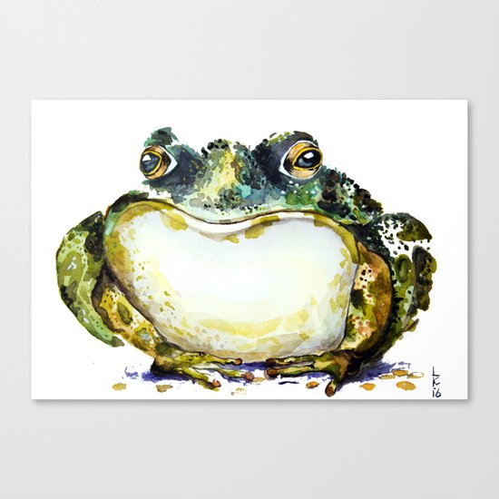 the toad Canvas Print