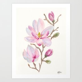 Magnolia Art Print