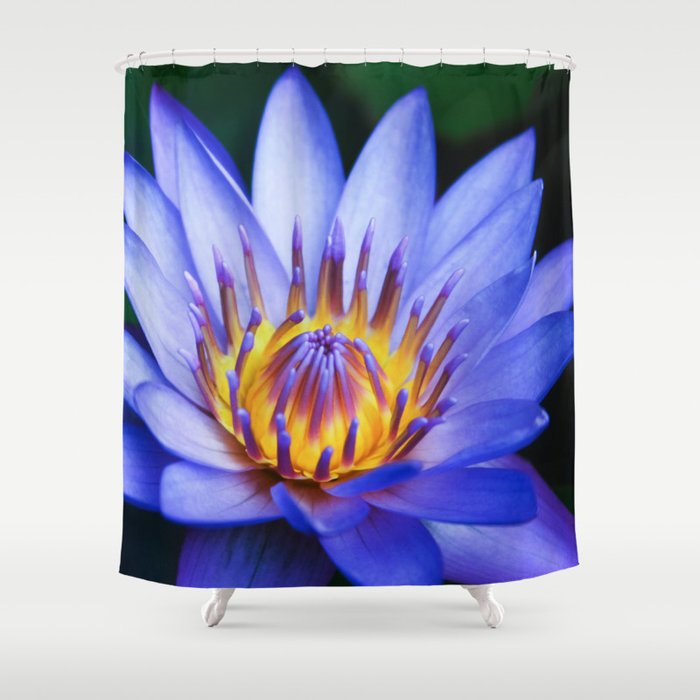 Tropical Dreams Shower Curtain