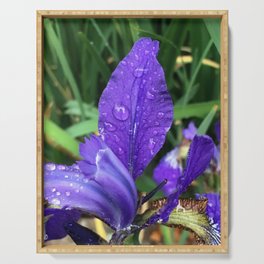 Purple Iris with Rain Droplets Serving Tray