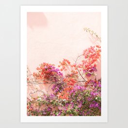 Bougainvillea Flowers in Color | Pink Wall in Cascais Art Print | Floral Travel Photography in Portugal Art Print