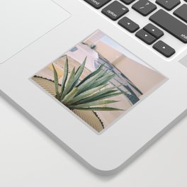 Agave plant in Mexico Sticker