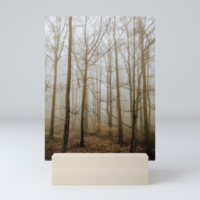 Foggy morning Pocono Summit, Pa Mini Art Print