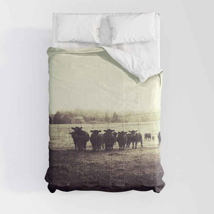 Curious Cows Comforter