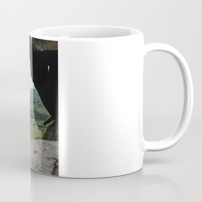 Rock Wall Window Coffee Mug