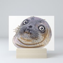 Seal Face Funny Pinnipeds Afraid Mistake Caught Act Mini Art Print