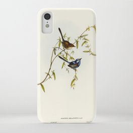 Vintage Print - John Gould - The Birds of Australia (1848) - Black-backed Wren iPhone Case | Print, Illustration, Australia, Wildlife, Biology, Drawing, Zoology, Scientific, Ornithology, Naturalhistory 