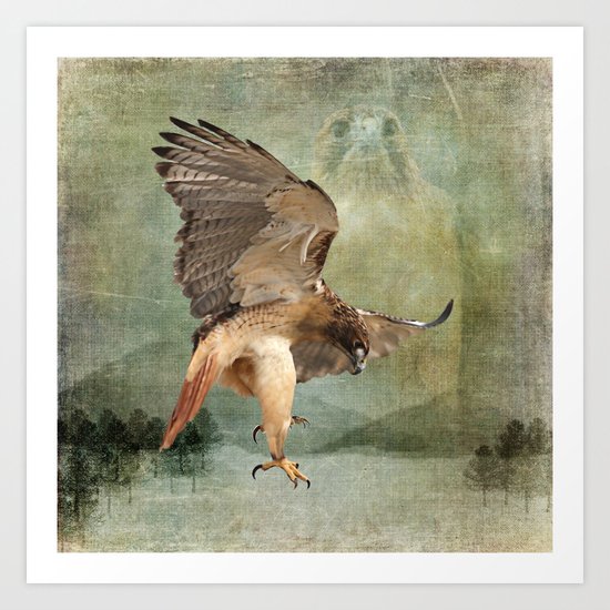 Feathered Fury Above Art Print