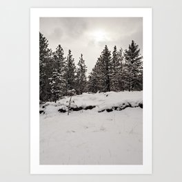 trees in the snow Art Print