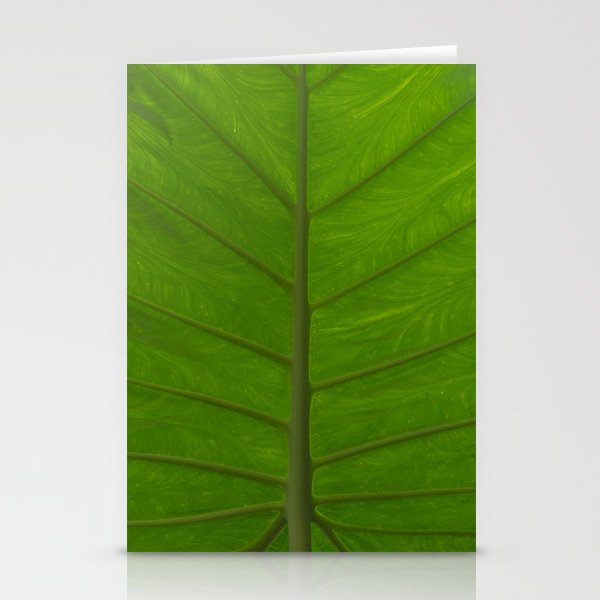 Plant Pathways Stationery Cards