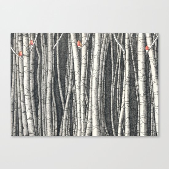 Birch trees Canvas Print