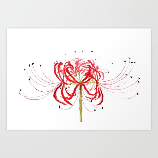 Red spider lily Art Print