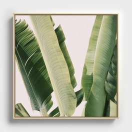 Banana Leaf #1 Framed Canvas