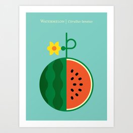 Fruit: Watermelon Art Print