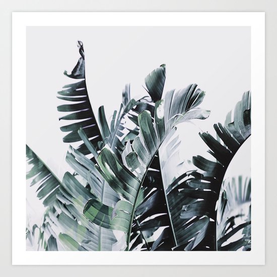 Litsia Leaves Darker Art Print