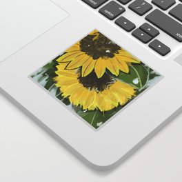 Sunflower Square Sticker