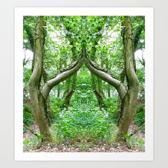 Wizard's Arch Art Print