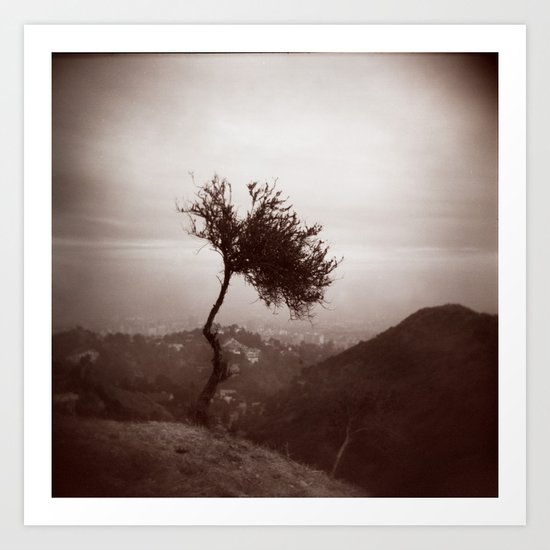 Lonely Tree Art Print