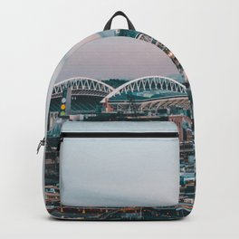 Seattle & Mount Rainier Backpack