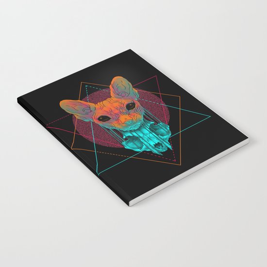 Reflections Notebook